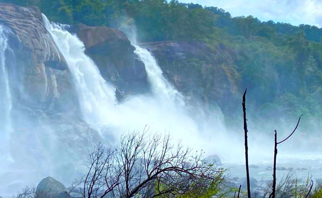 Kerala's Monsoon Magic